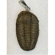 Přívěšek z trilobita